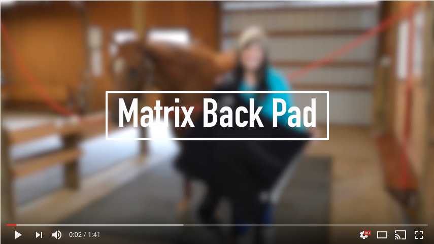 mtp-video-backpad-feature