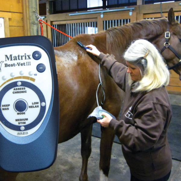 Microcurrent Class for Horses November 8th, 9th, 10th, 2023