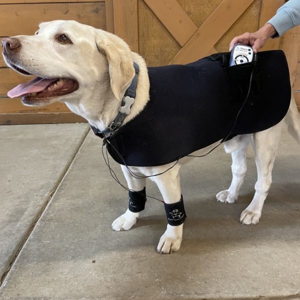 Dog Vest to secure MicroCurrent Device 